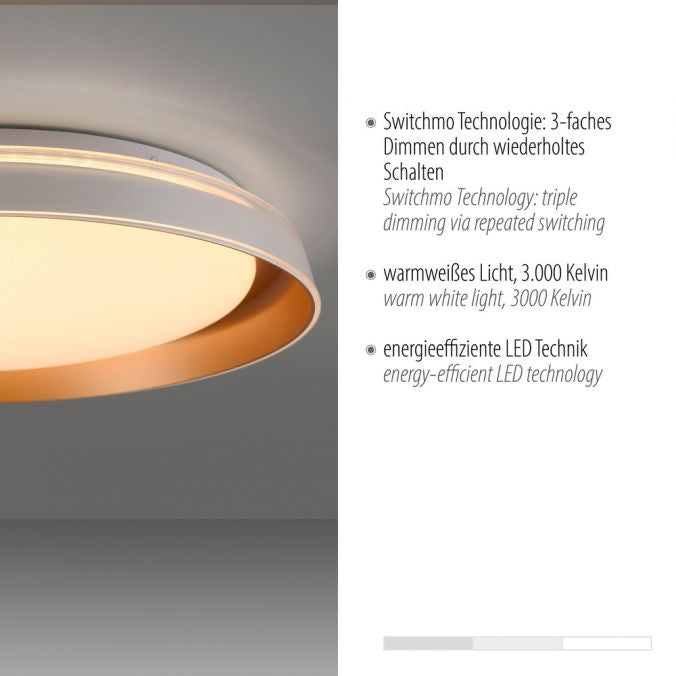 LED ceiling light with 3 step dimmer