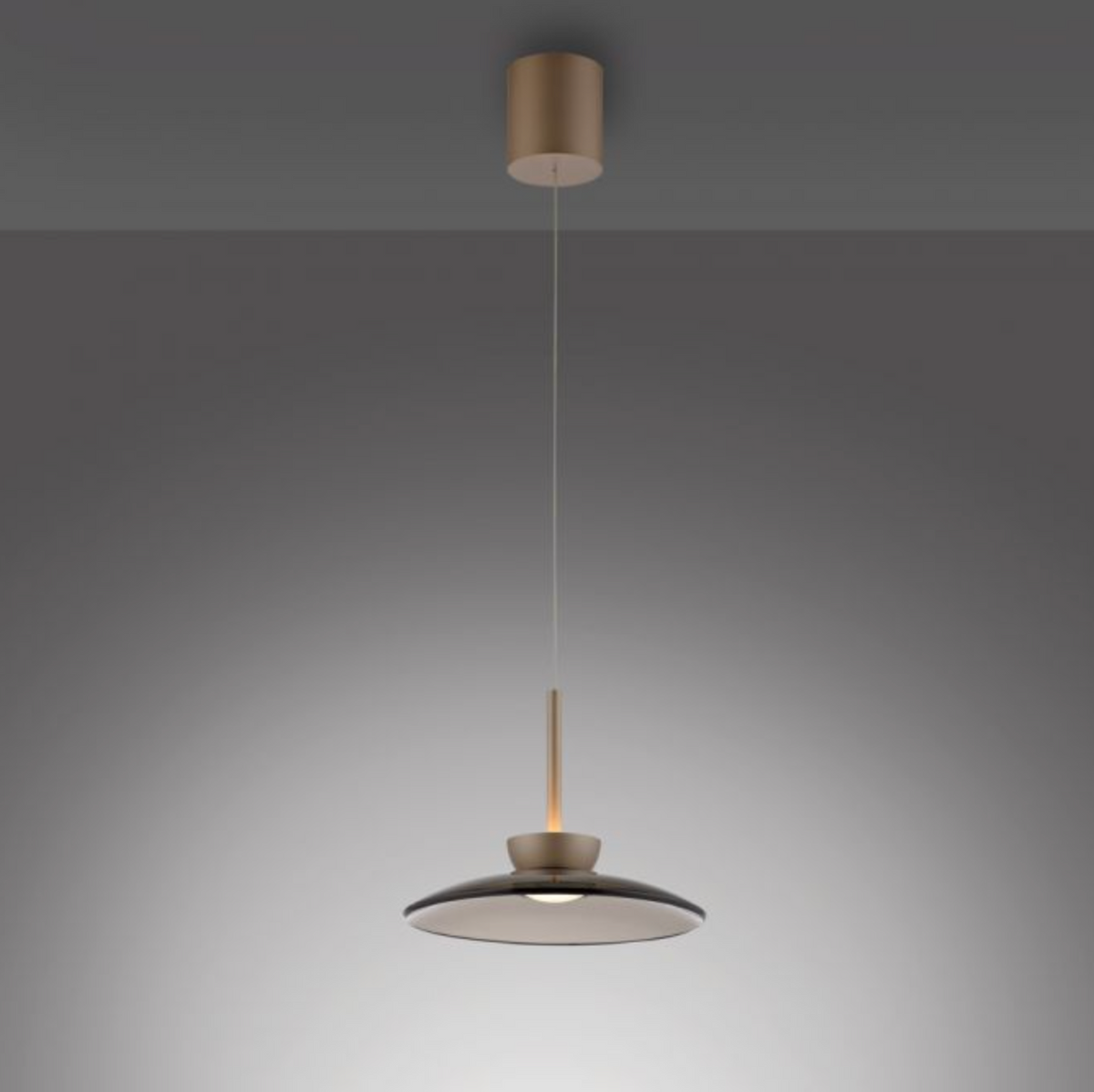 Bronze LED pendant - Smoked glass