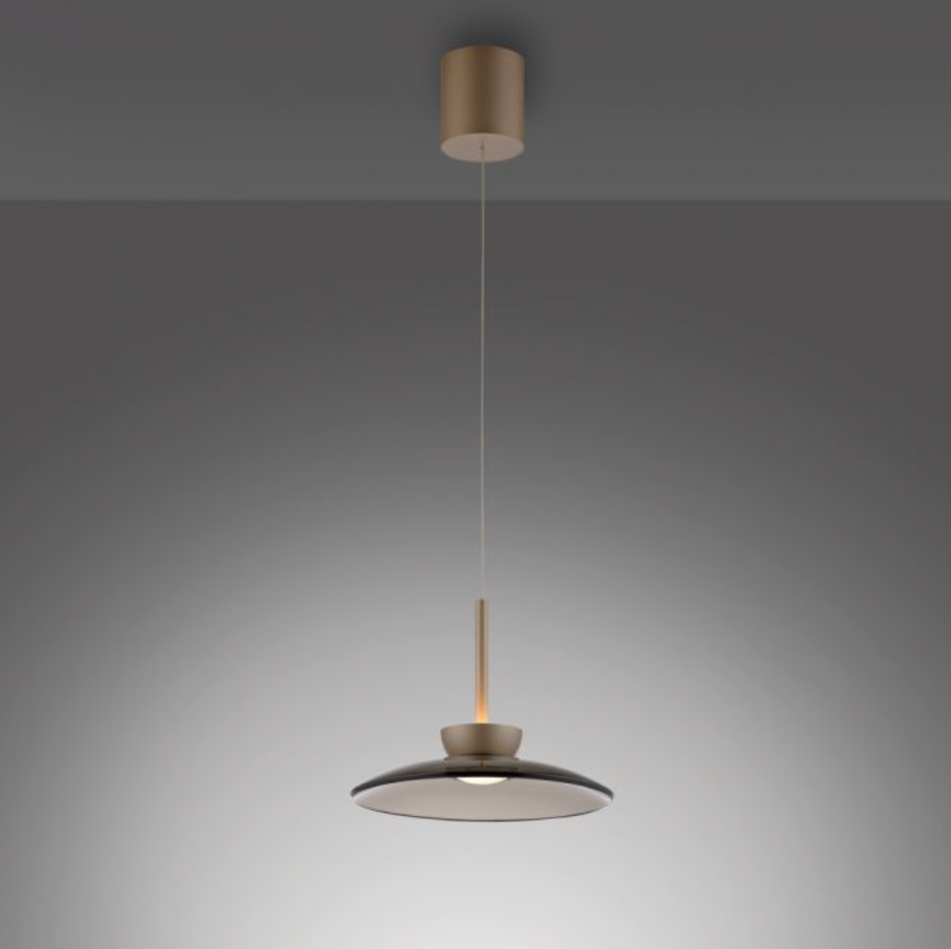 Bronze LED pendant - Smoked glass