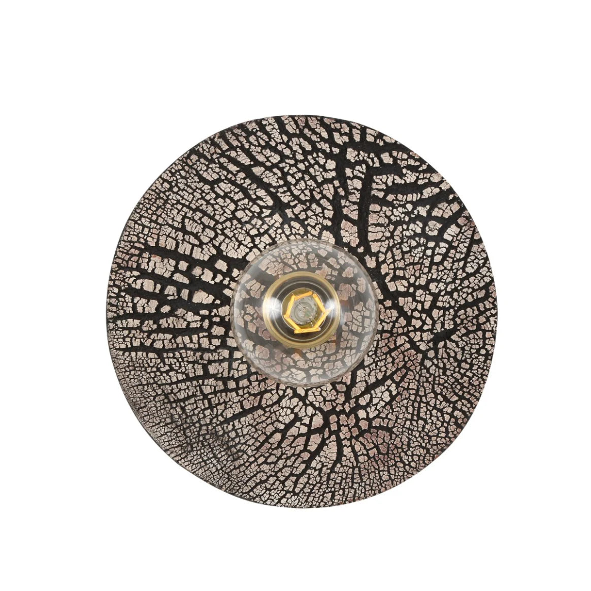 Bog Oak Organic Ceramic Disc Wall Light, Black Clay.