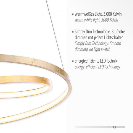 Modern LED Gold double pendant with swirl Light rings