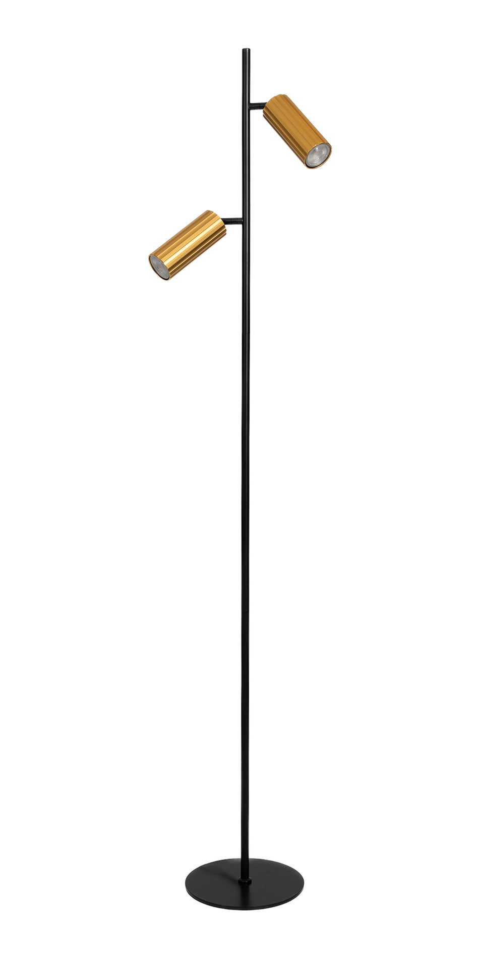 Sanson Double head reading Floor Lamp